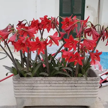 La Dimora Salentina